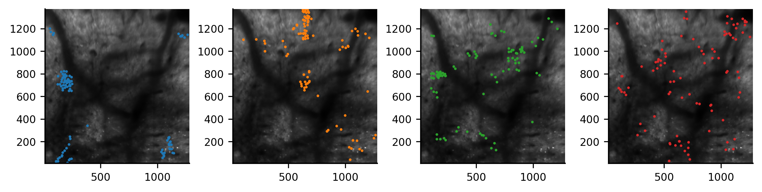 _images/demo_single_region_30_0.png