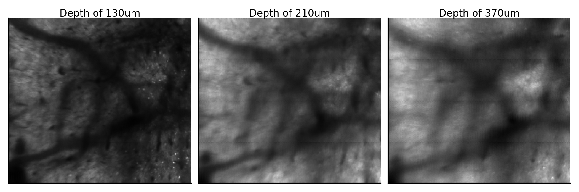 _images/demo_single_region_6_0.png
